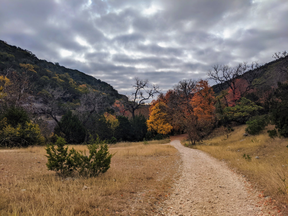 Lost Maples SNA Fall colors with cloudy skies at Lost Maples SNA